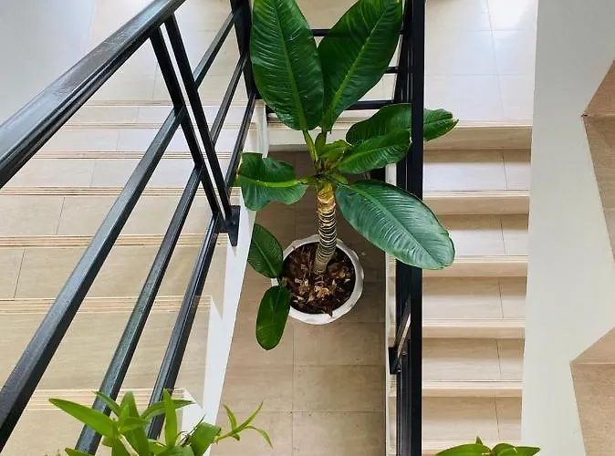 Teak Apartment