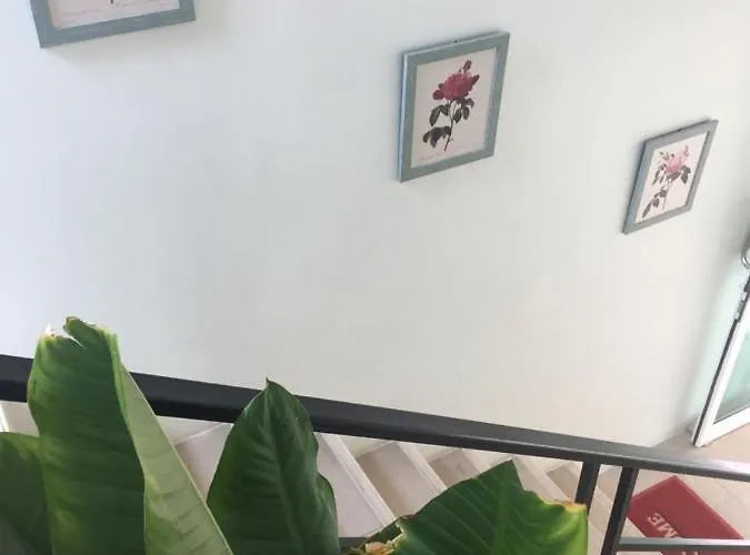 Teak 아파트 *